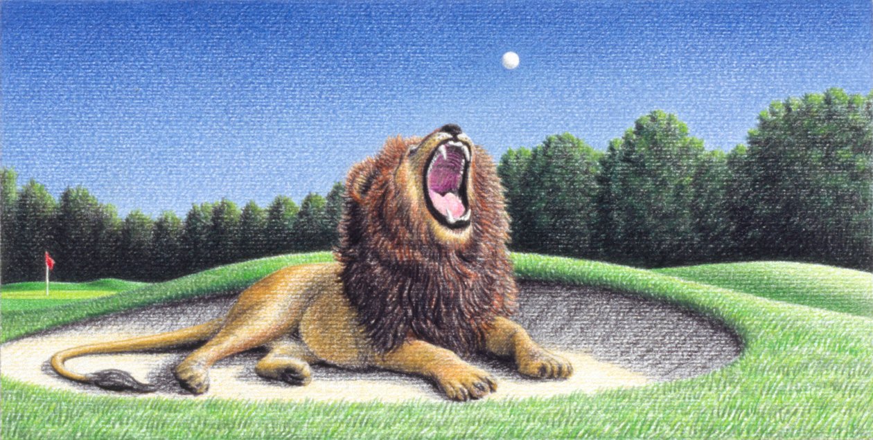 Aslan 3 by Rene Boin
