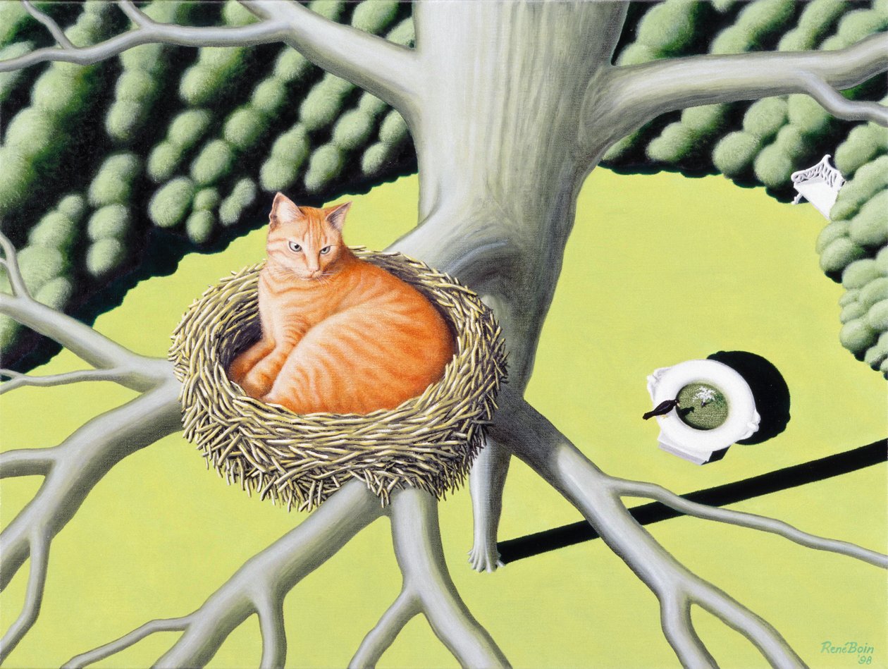 Yuva by Rene Boin