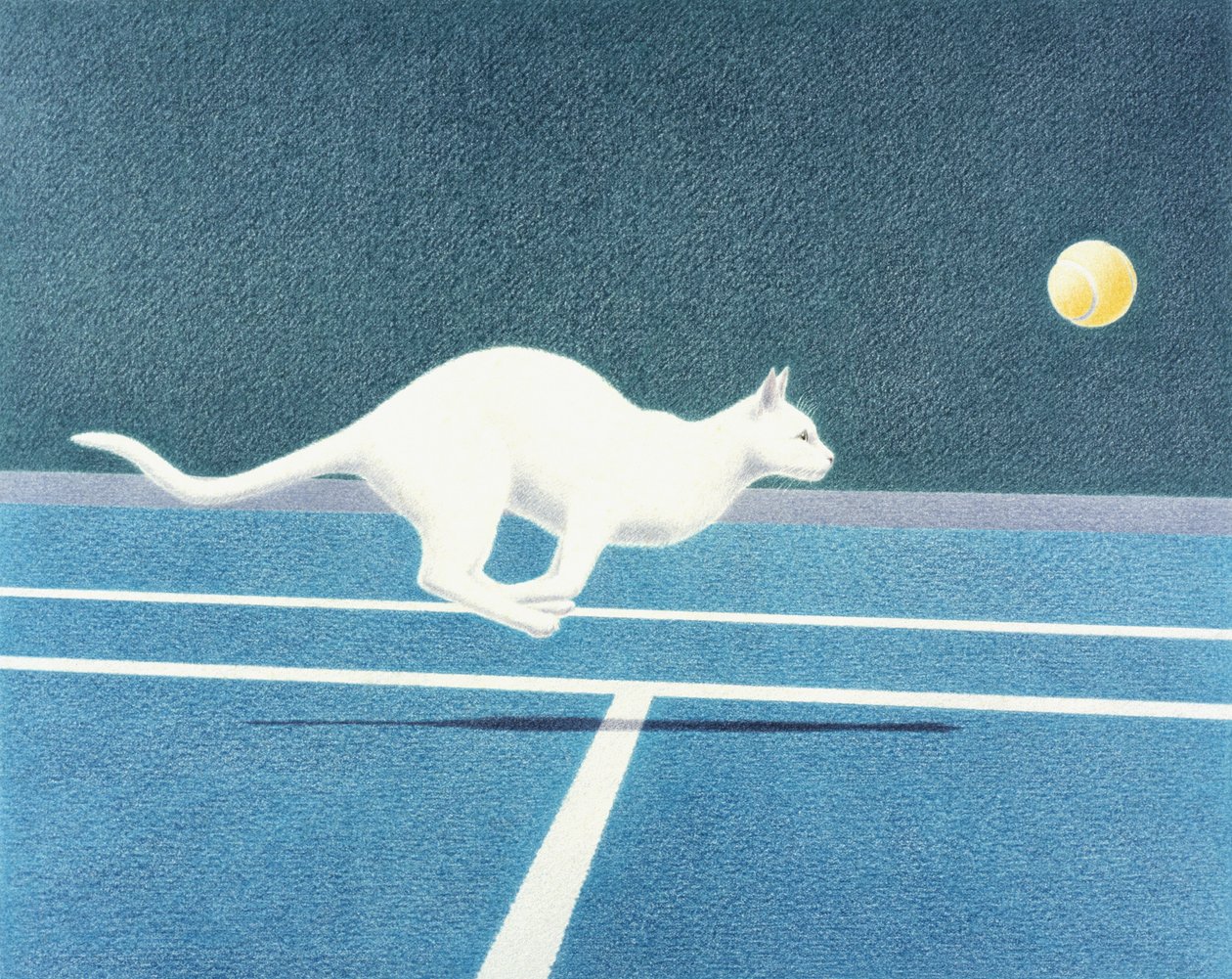 Tenis by Rene Boin