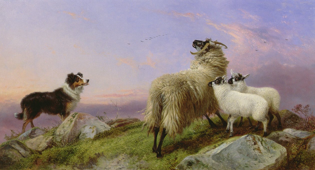 ಕೋಲಿ, ಈವ್ ಮತ್ತು ಲ್ಯಾಂಬ್ಸ್ ಟರ್ಕ್ by Richard Ansdell