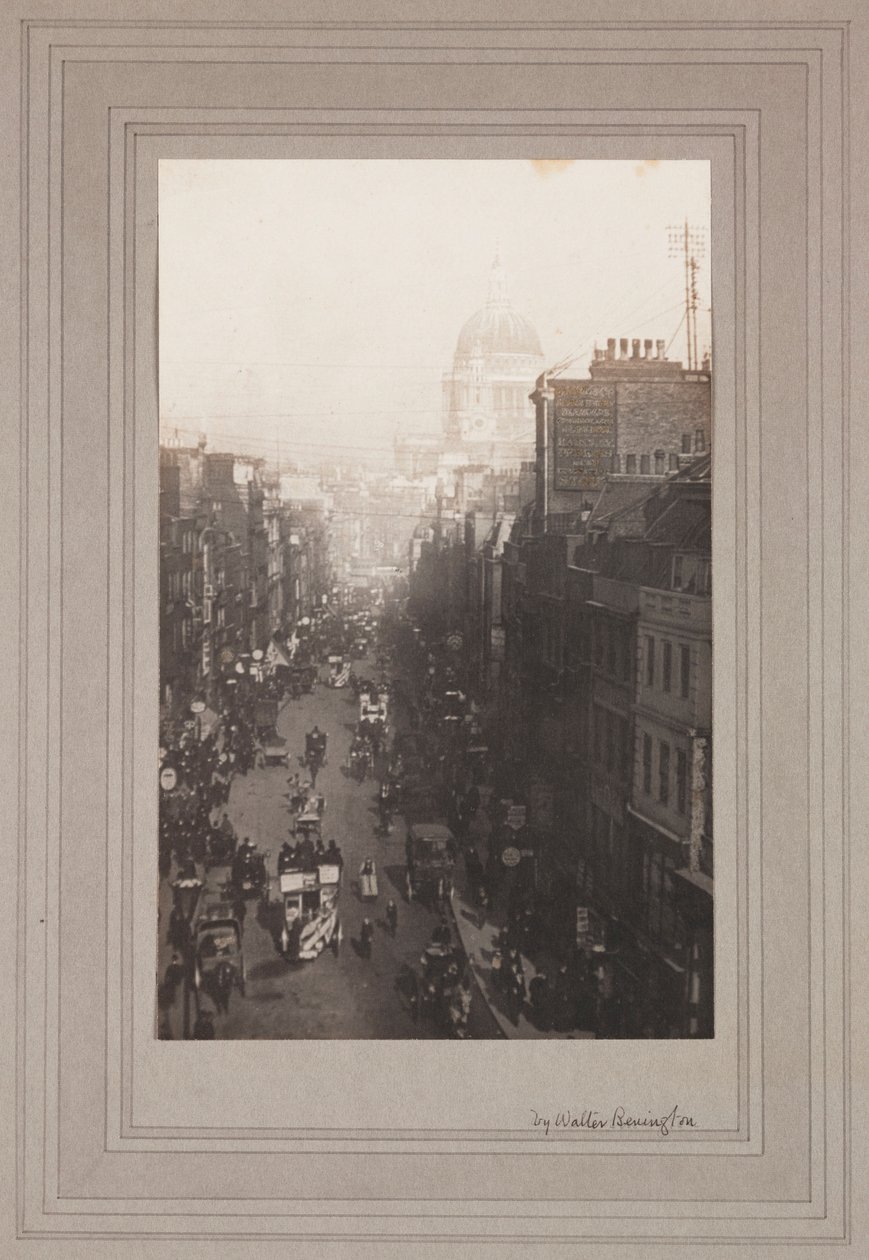 Filo Caddesi