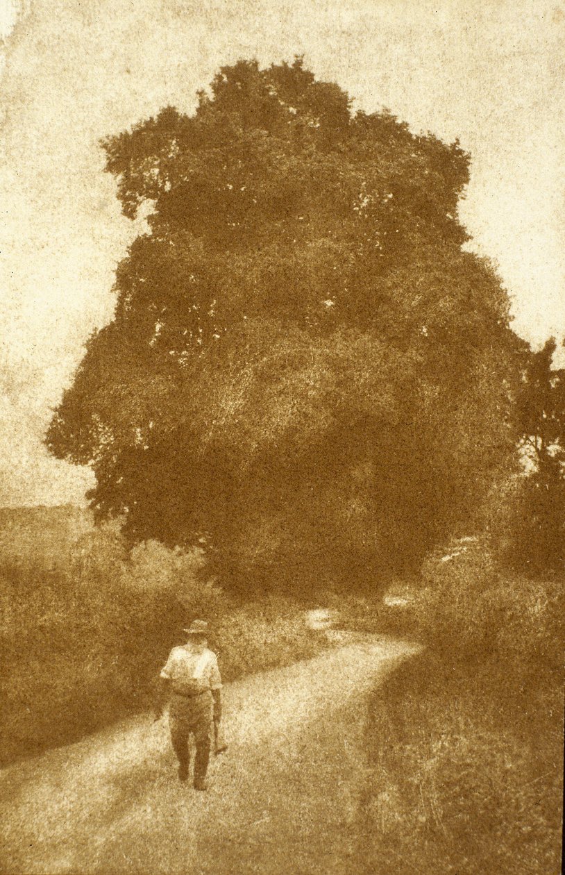 Surrey by John Pardon