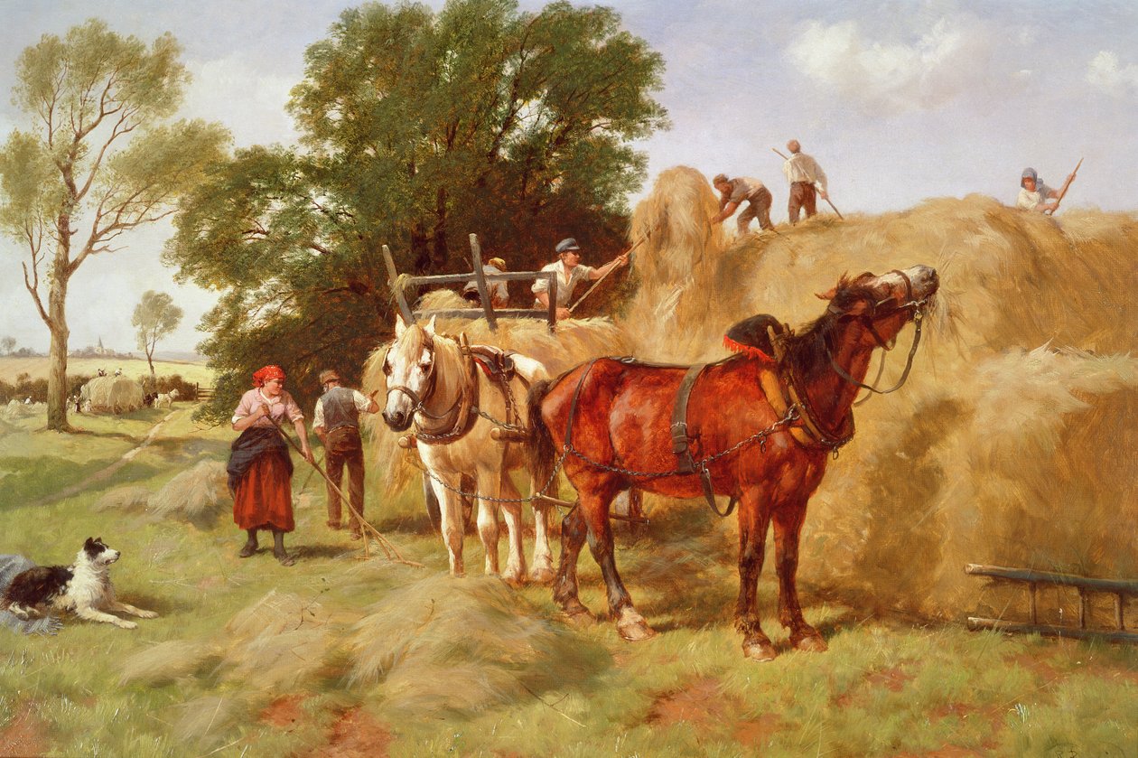 saman yapıcılar by Richard Beavis