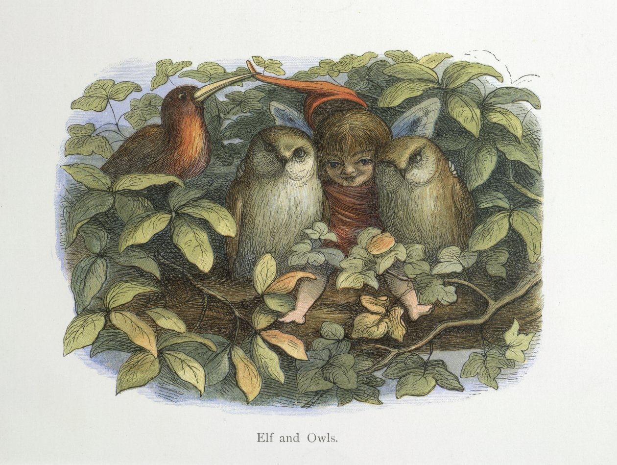 Elf ve baykuşlar by Richard Doyle