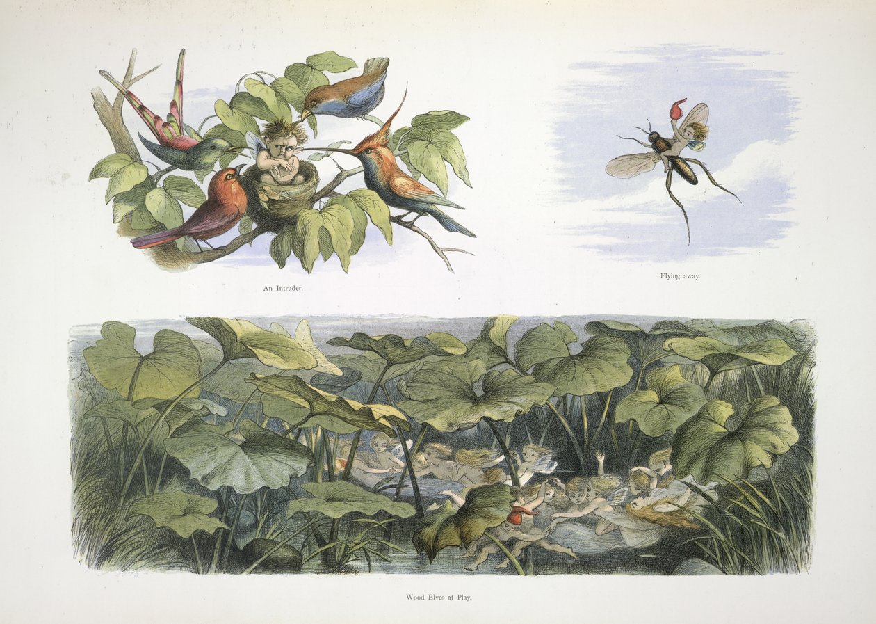 elfler by Richard Doyle