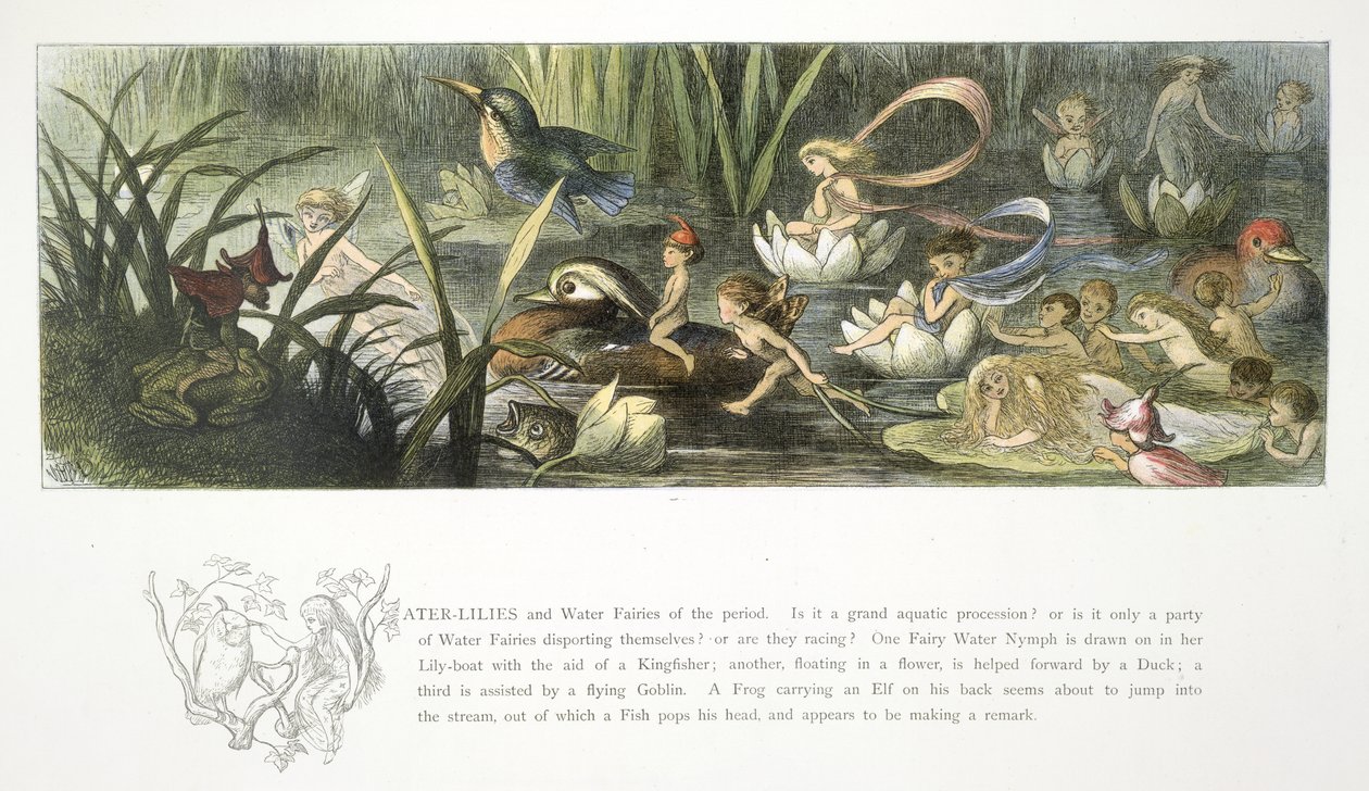 Nilüferler ve nilüferler by Richard Doyle