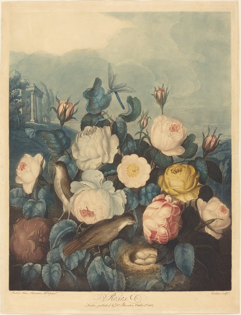 güller by Richard Earlom after Dr. Robert John Thornton