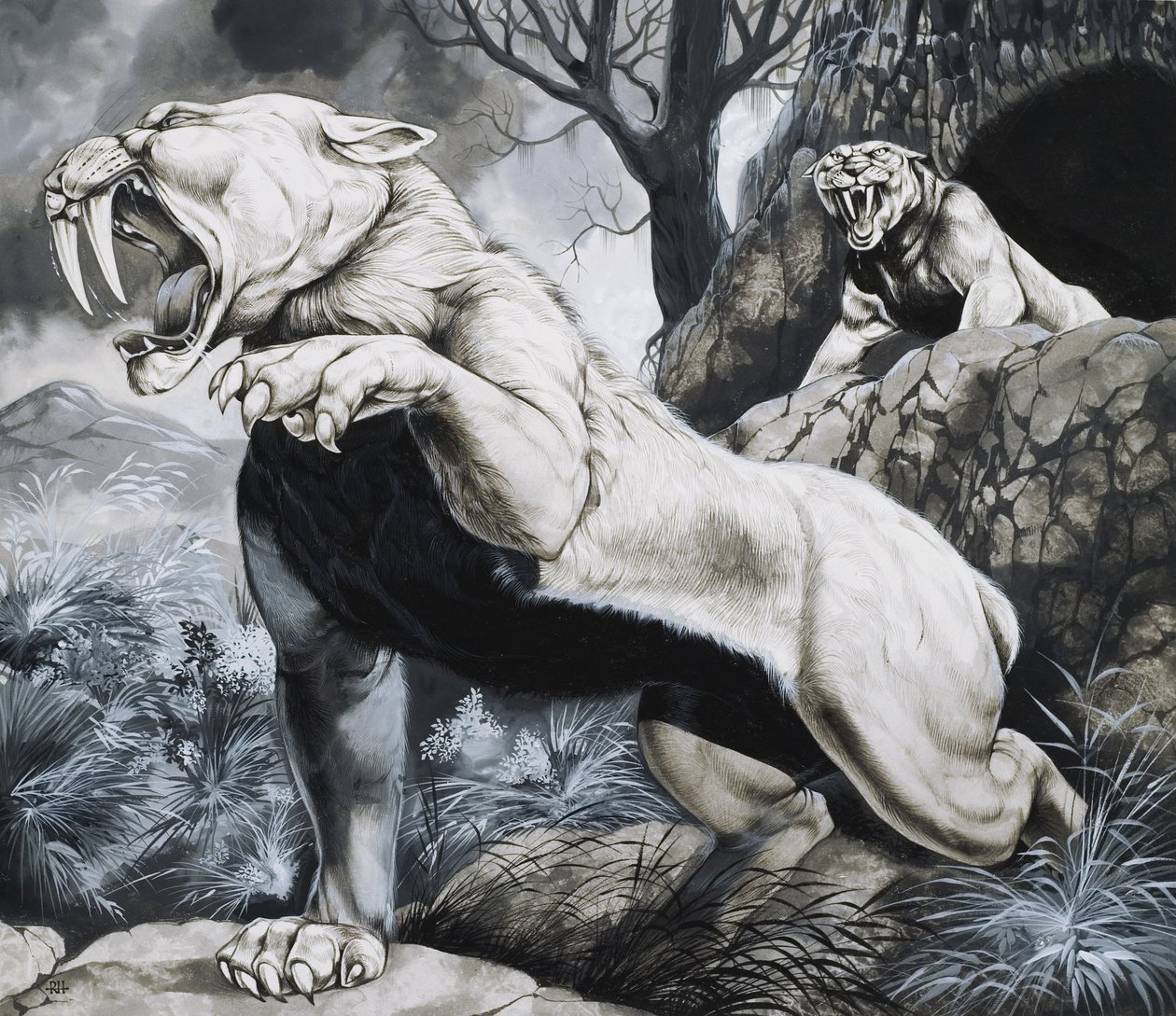  by Richard Hook