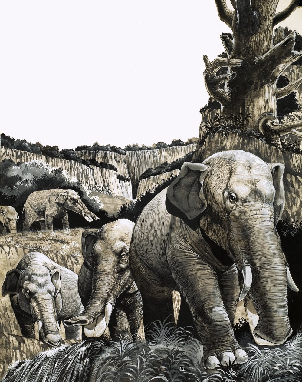  by Richard Hook