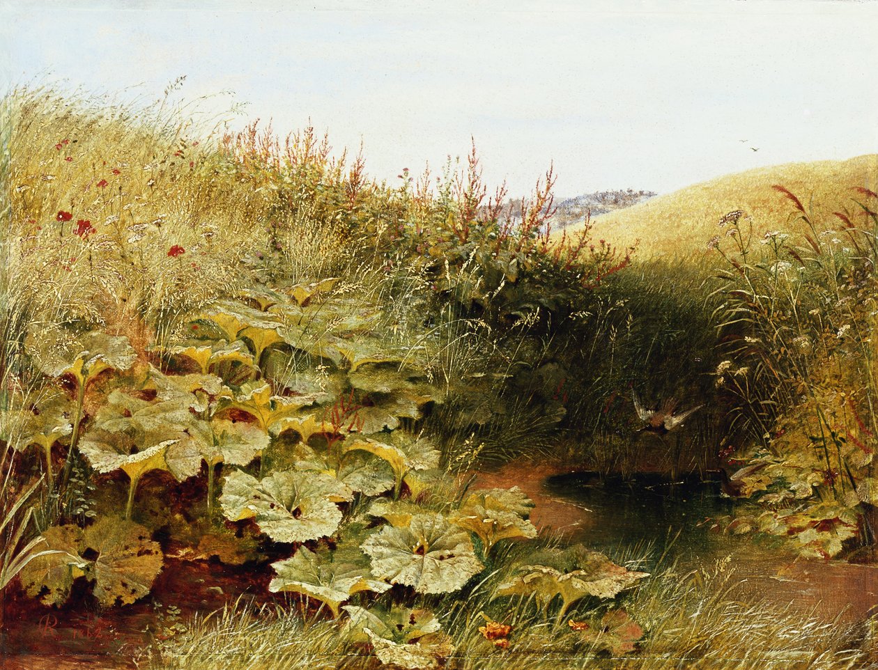 Sessiz Bir Dell by Robert Collinson