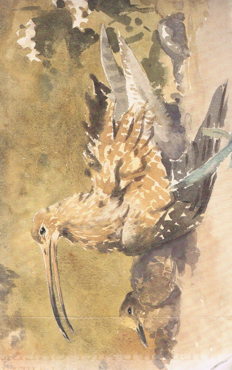 Curlew ve genç by Robert George Talbot Kelly