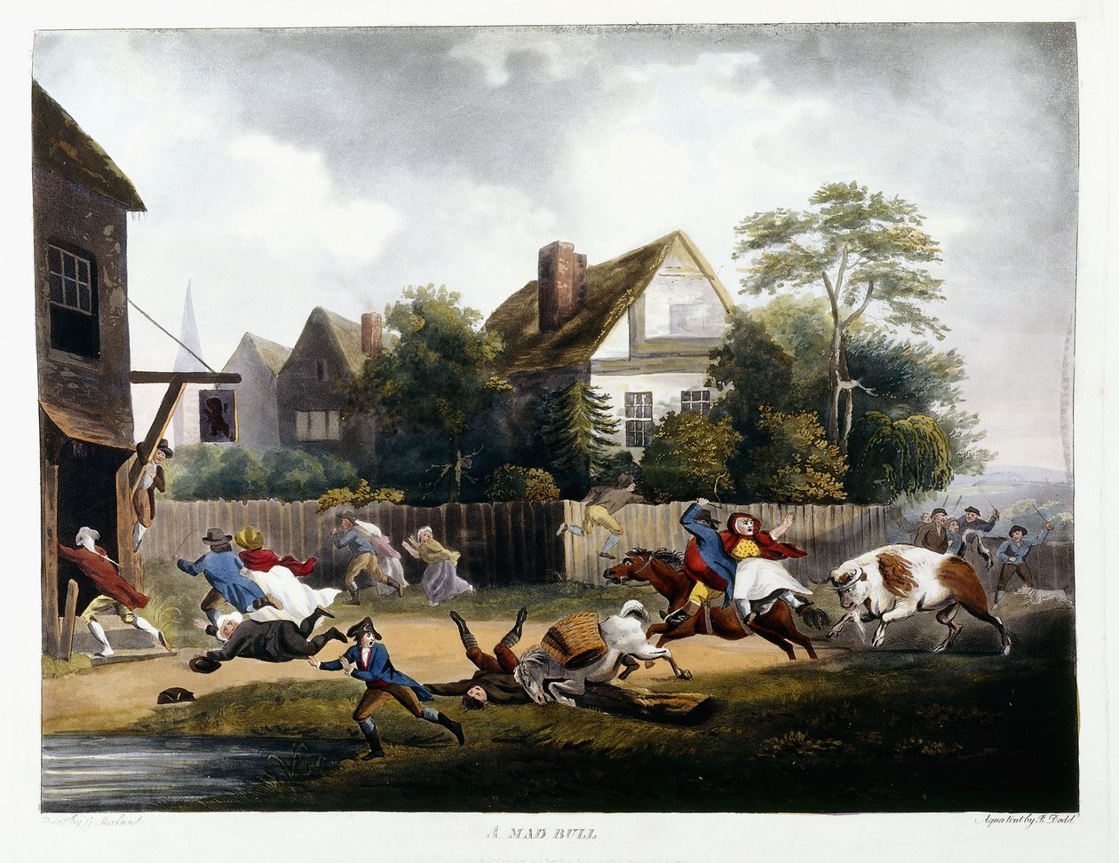 Deli Bir Boğa, 1806 by Robert Dodd