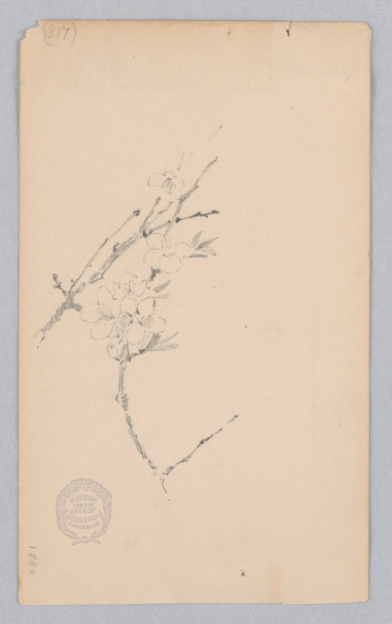 Dal by Robert Frederick Blum