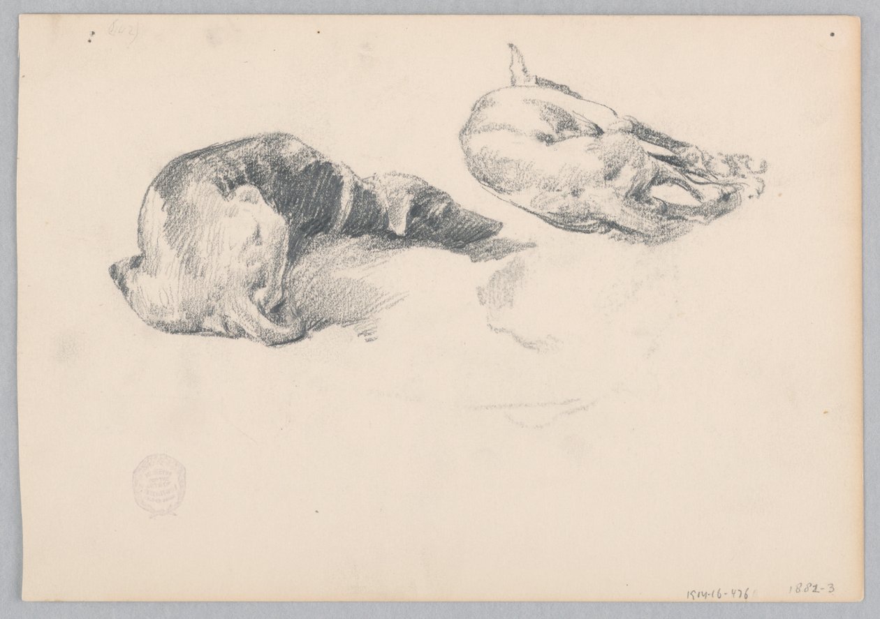 köpekler by Robert Frederick Blum