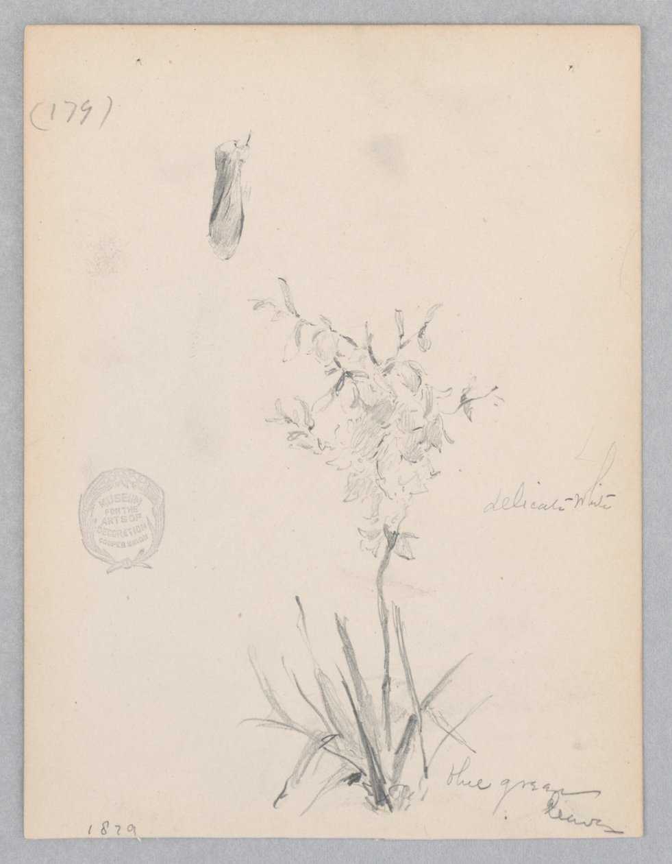 Çiçekli bitki by Robert Frederick Blum