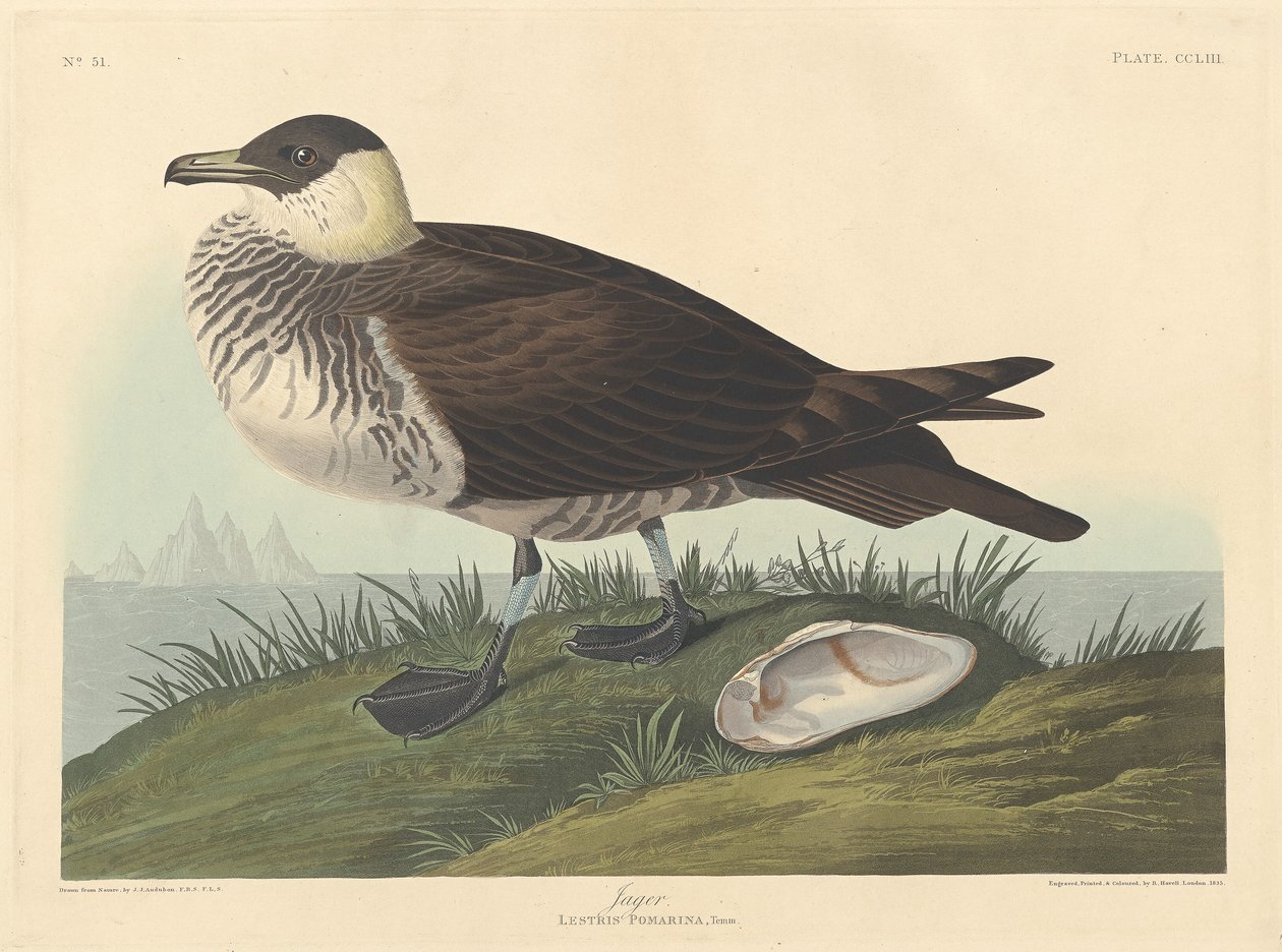 Jager, 1835. by Robert Havell