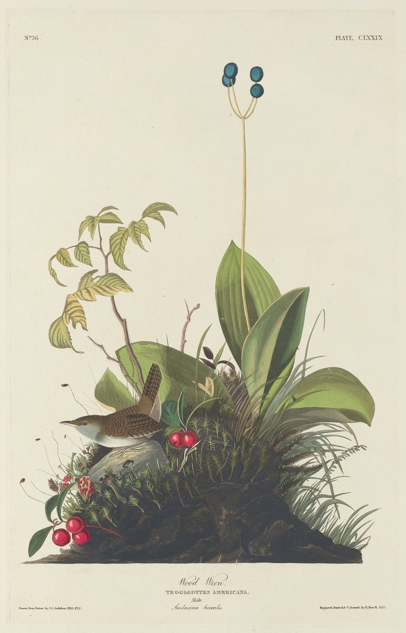 Ahşap Çit, 1833. by Robert Havell