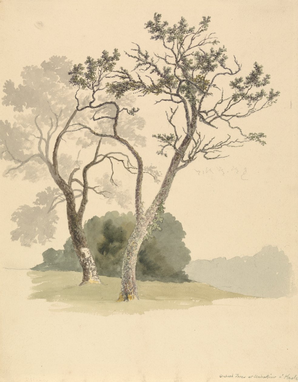 Knole yakınlarındaki Under River'daki Meyve Ağaçları by Robert Hills