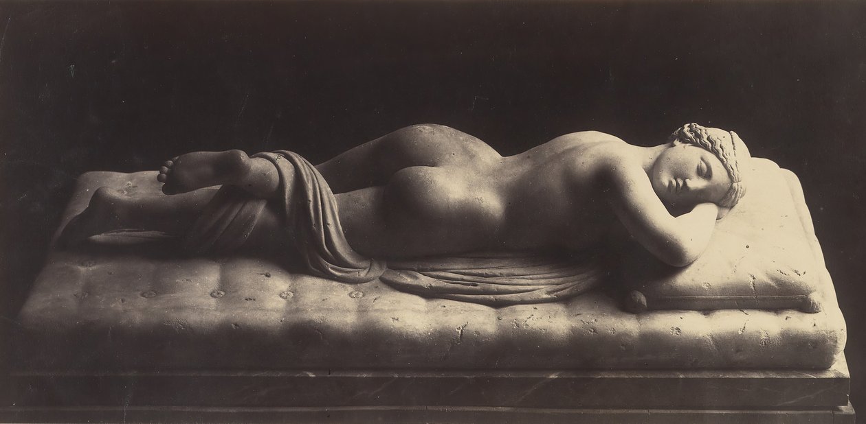 Hermafrodit, yaklaşık 1861. by Robert MacPherson