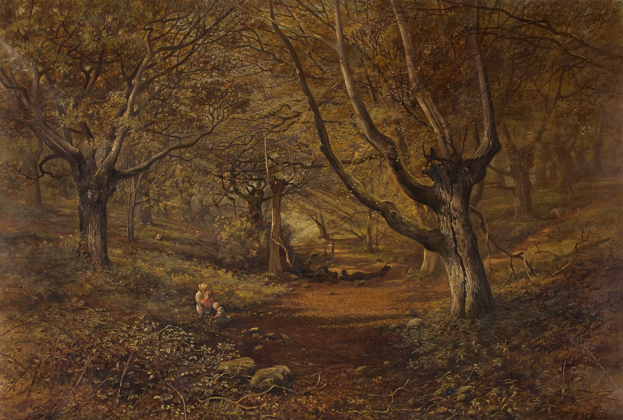 Bülbül Vadisi, Leigh Woods by Robert Mayes
