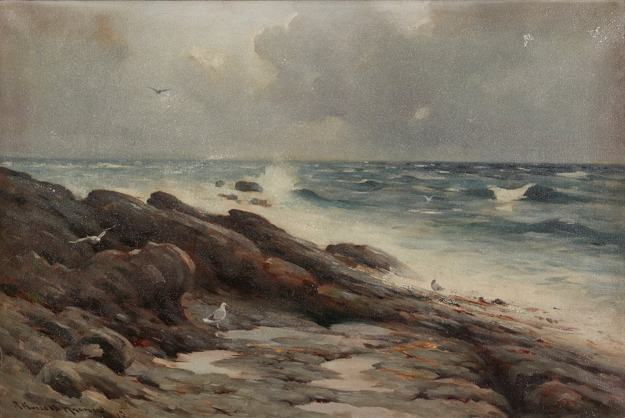 Kayalık Sahil Şeridi (tuval üzerine yağlı boya) by Robert Russell MacNee