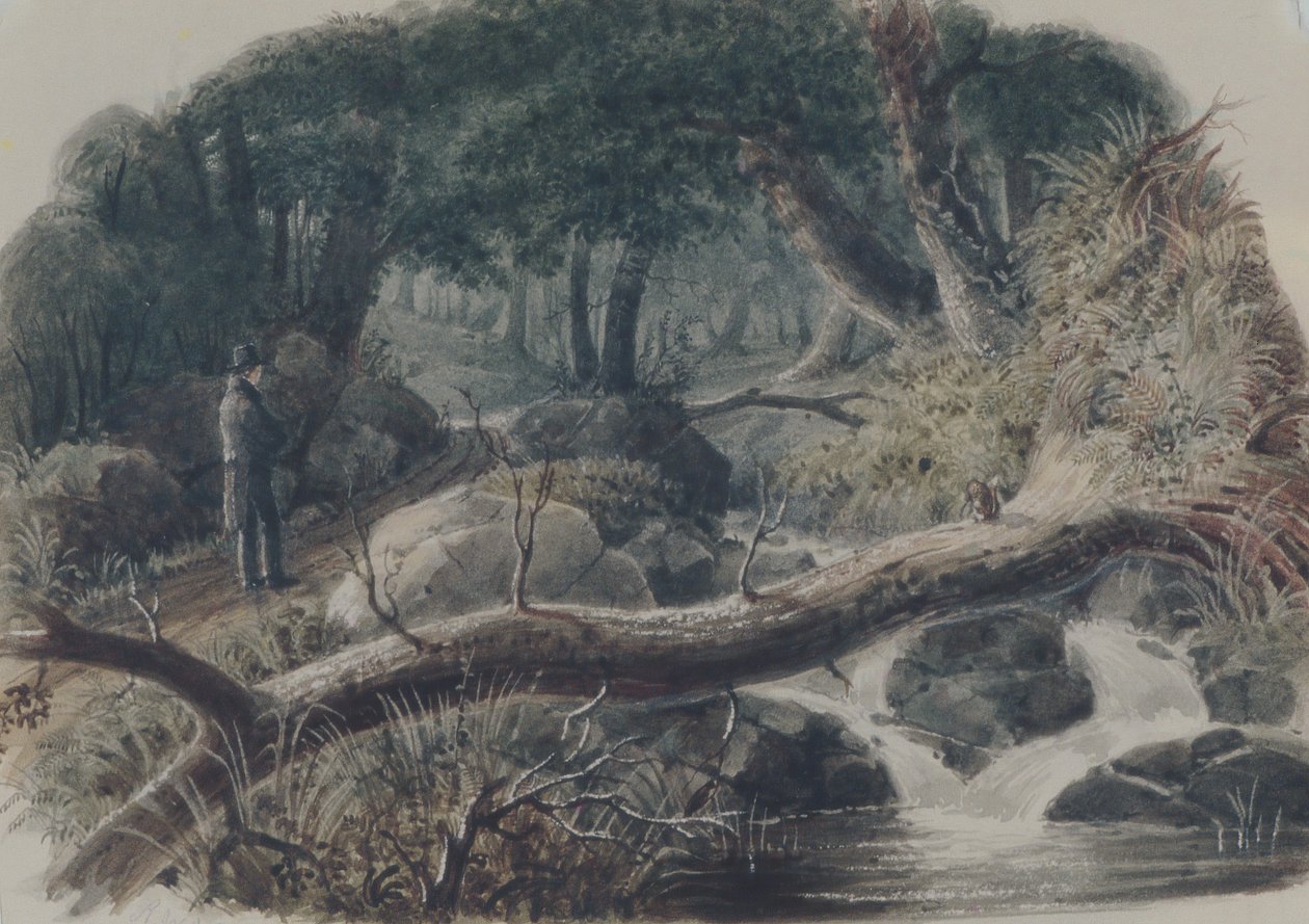 Bir Ormana Giriş, 1836. by Robert Walter Weir