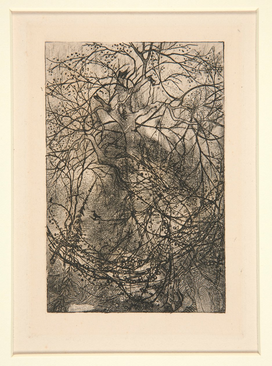 Şubeler by Rodolphe Bresdin