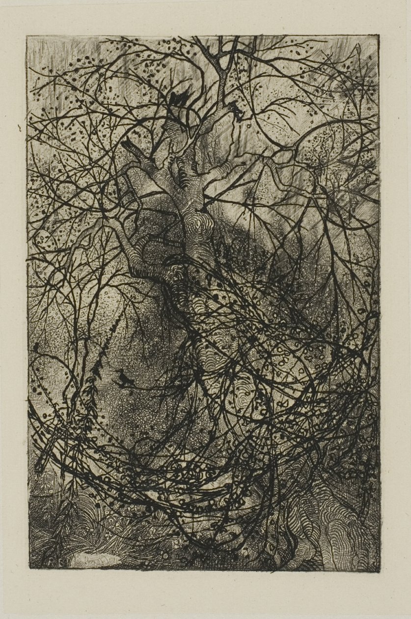 Ağaç dalları by Rodolphe Bresdin