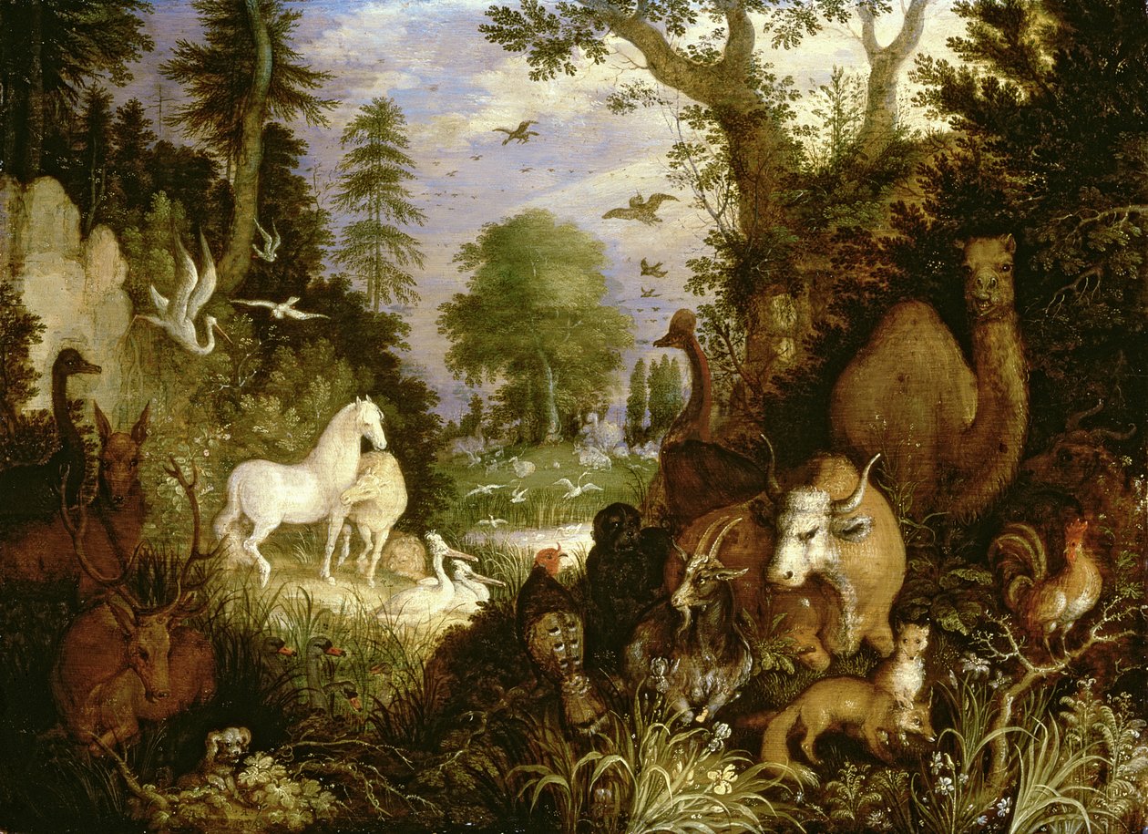 Eden