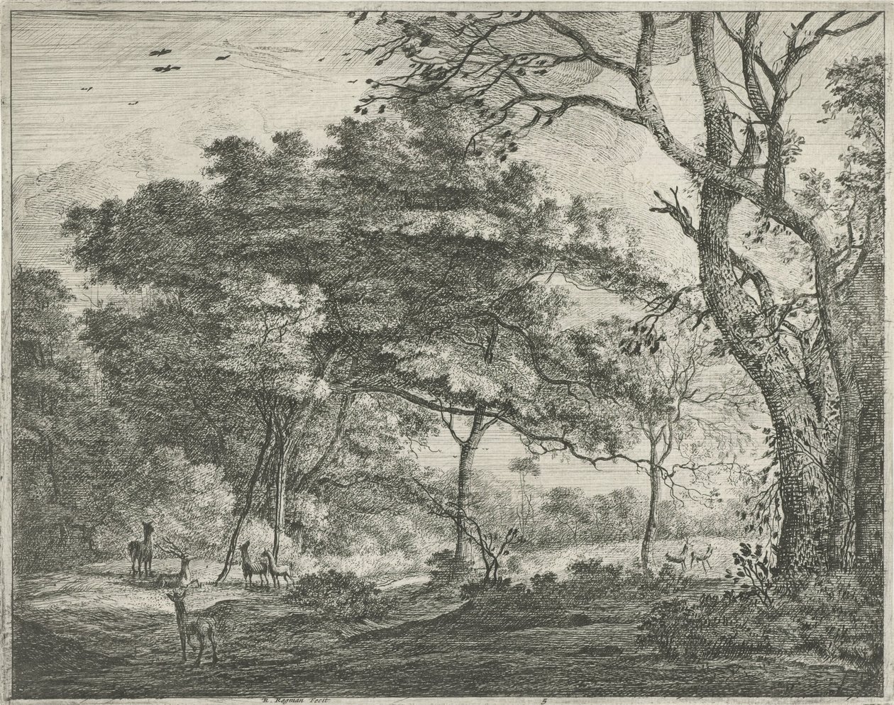 Haagse Bos