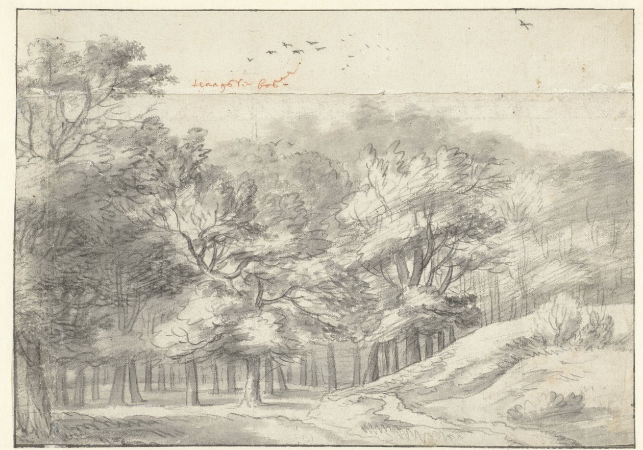 Haagse Bos