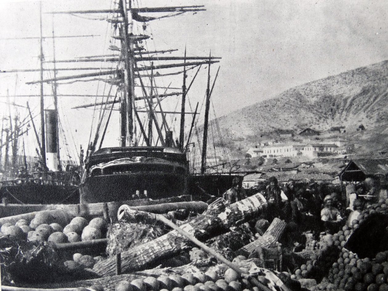 Mühimmat İskelesi, Balaclava by Roger Fenton