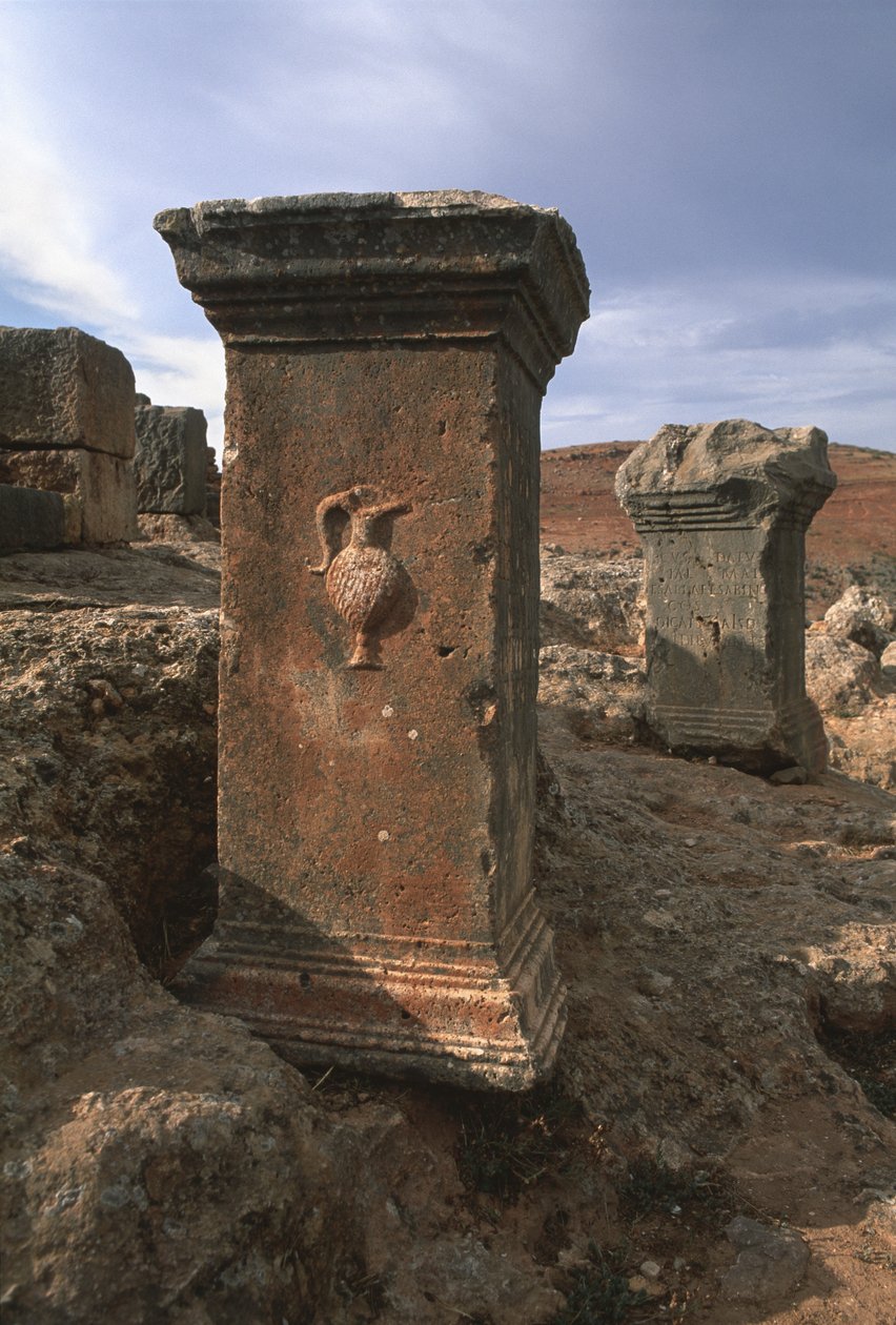 sunaklar by Roman