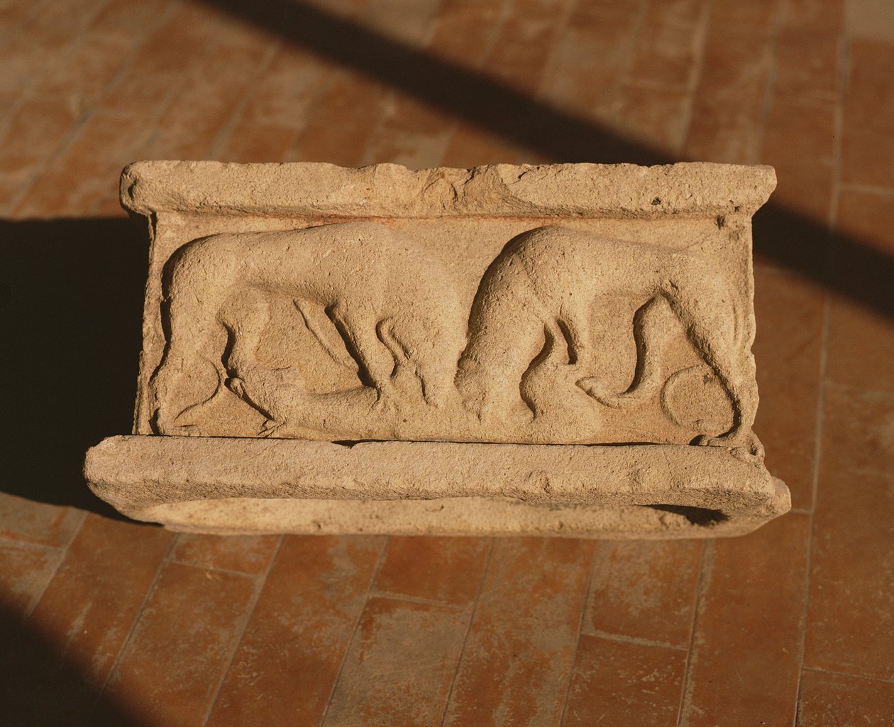 Arula by Roman