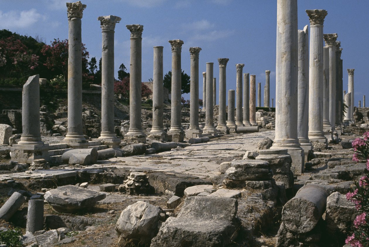 kolonad by Roman