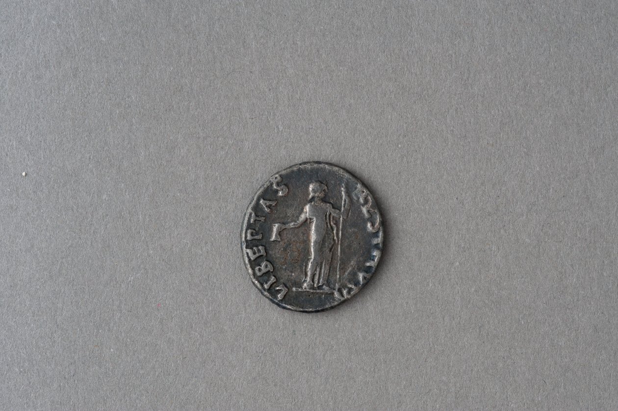 ವಿಟೆಲಿಯಸ್ (ಬೆಳ್ಳಿ) ಟರ್ಕಿಯ ಡೆನಾರಿಯಸ್ by Roman