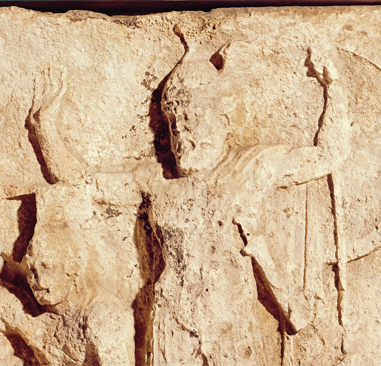 Truva Kuşatması