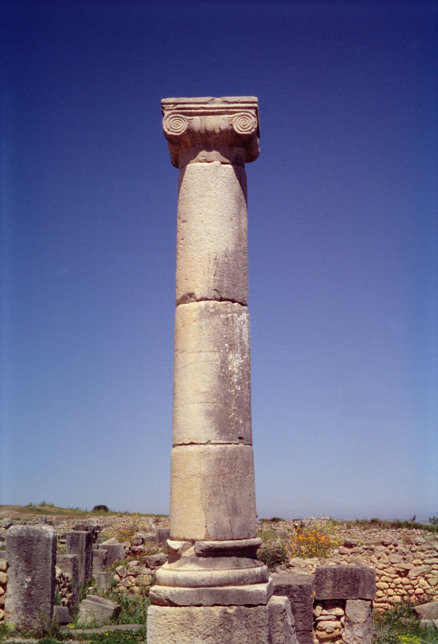 Decumanus Maximus üzerindeki iyonik sütun by Roman