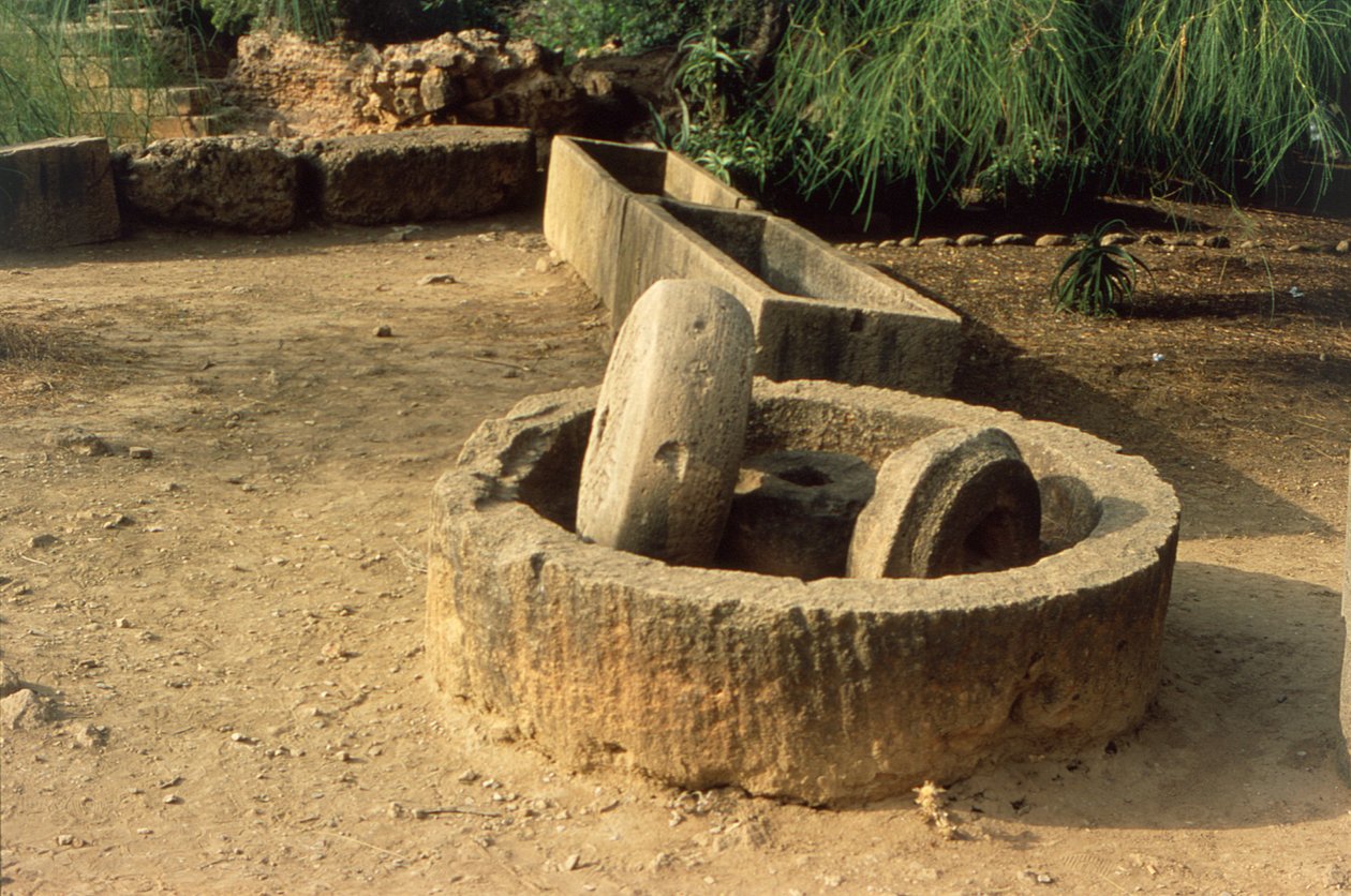 Yağ presi by Roman