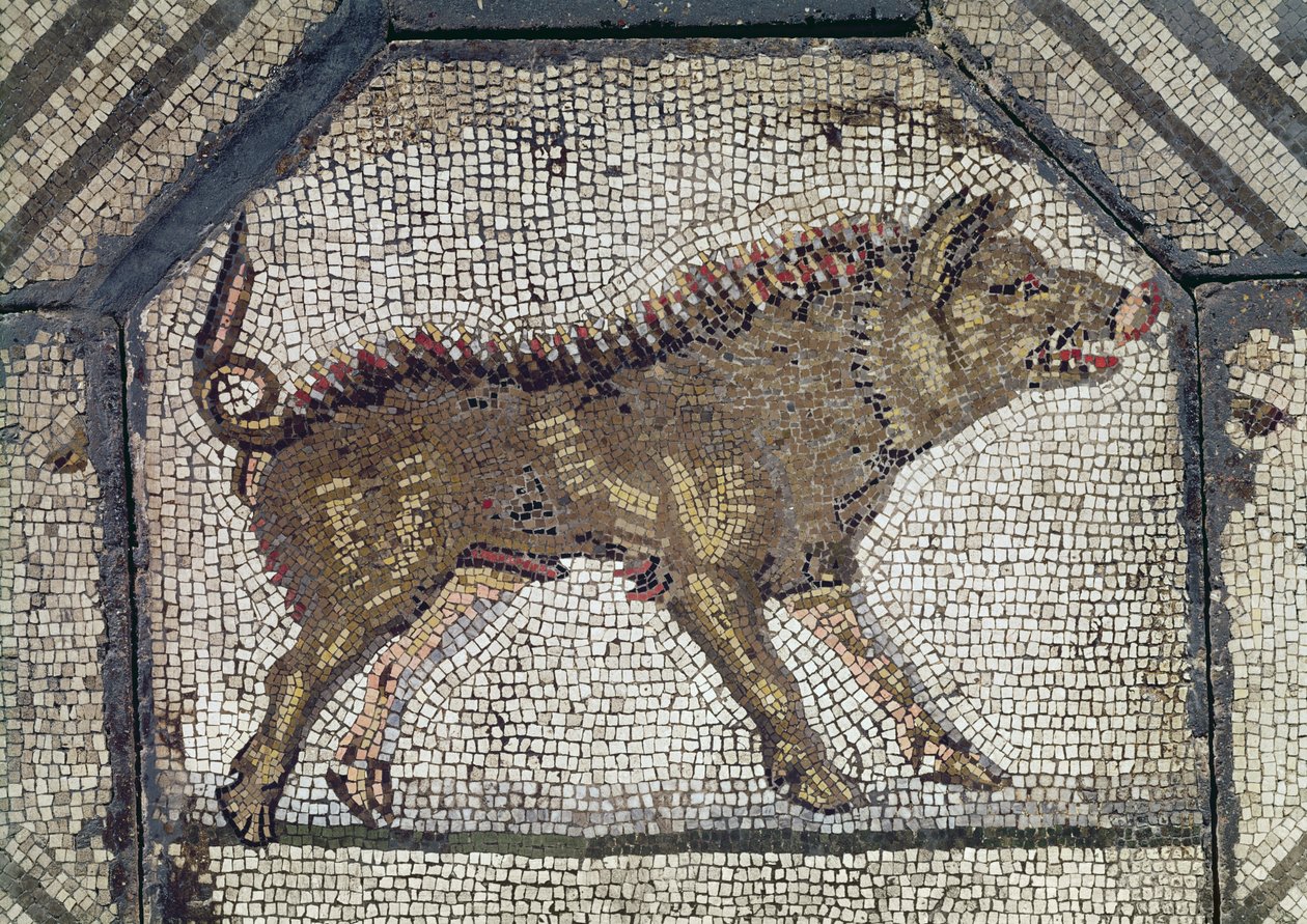Orpheus Charming the Animals, detail of a wild boar mosaic by Roman