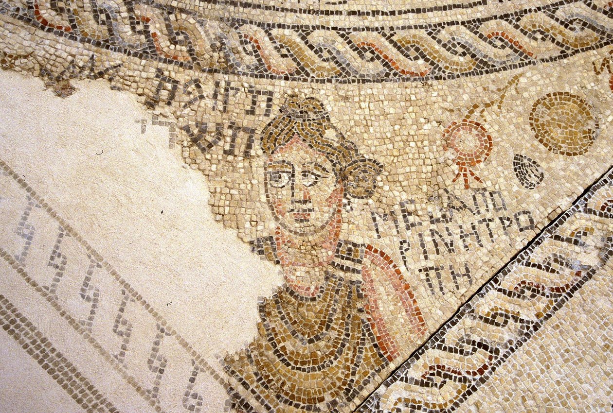 Sepphoris mozaiği, Tzippori (mozaik) by Roman