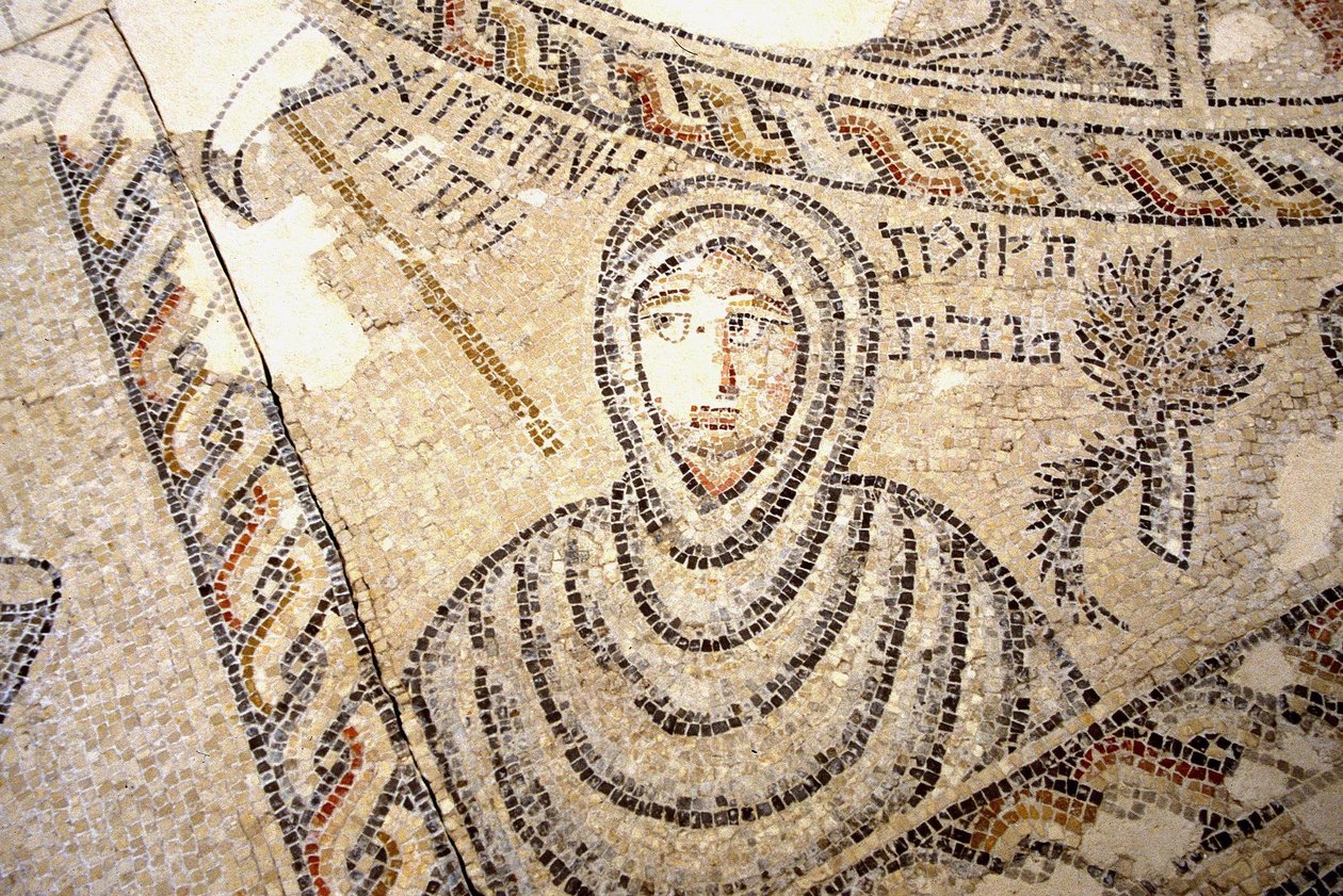 Sepphoris mozaiği, Tzippori (mozaik) by Roman