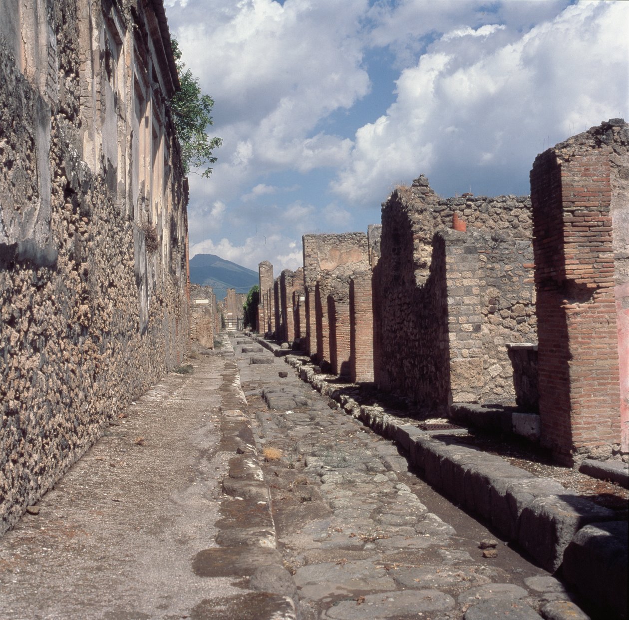 Via di Stabia by Roman