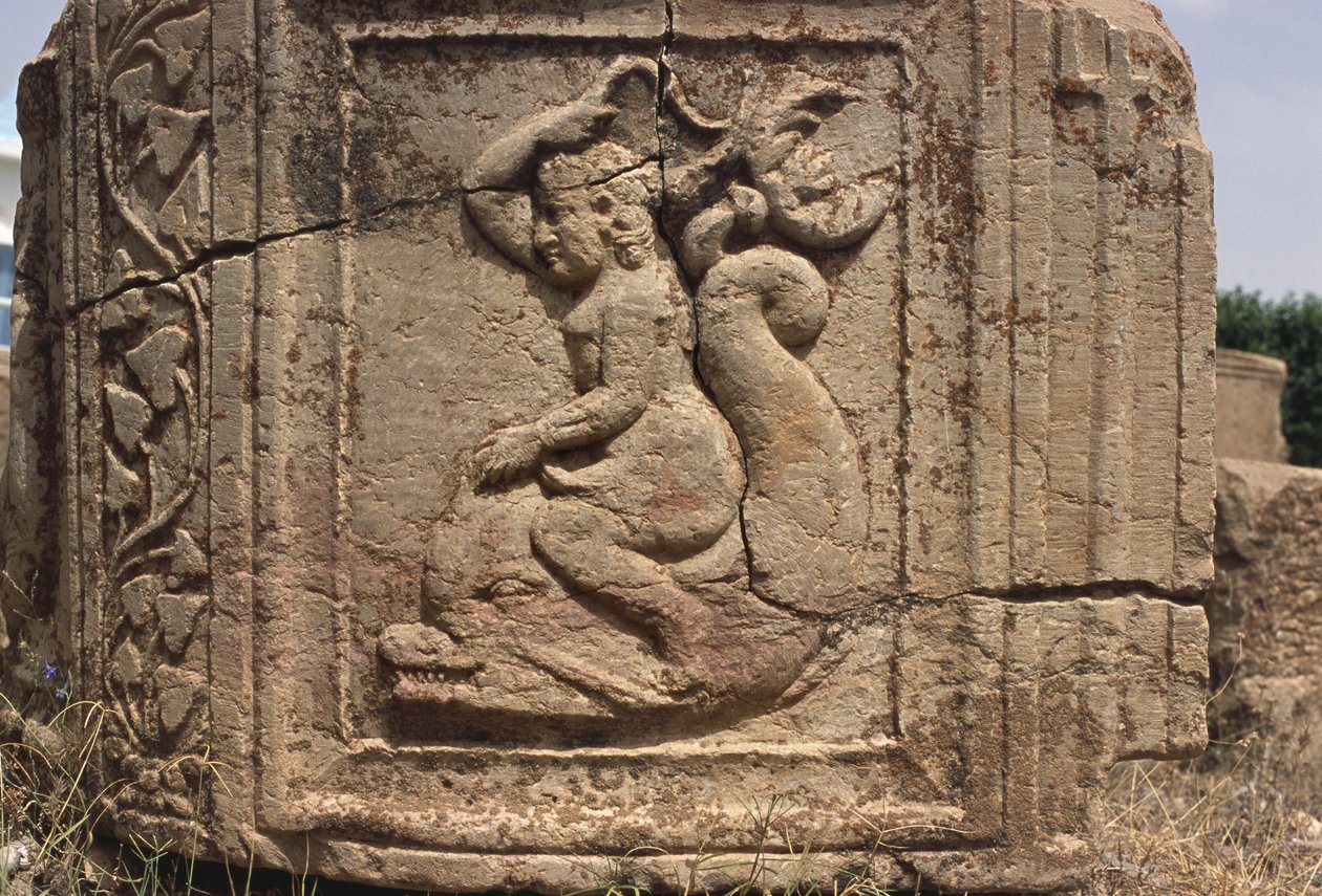 Bir yunus sürme su perisi by Roman Imperial Period