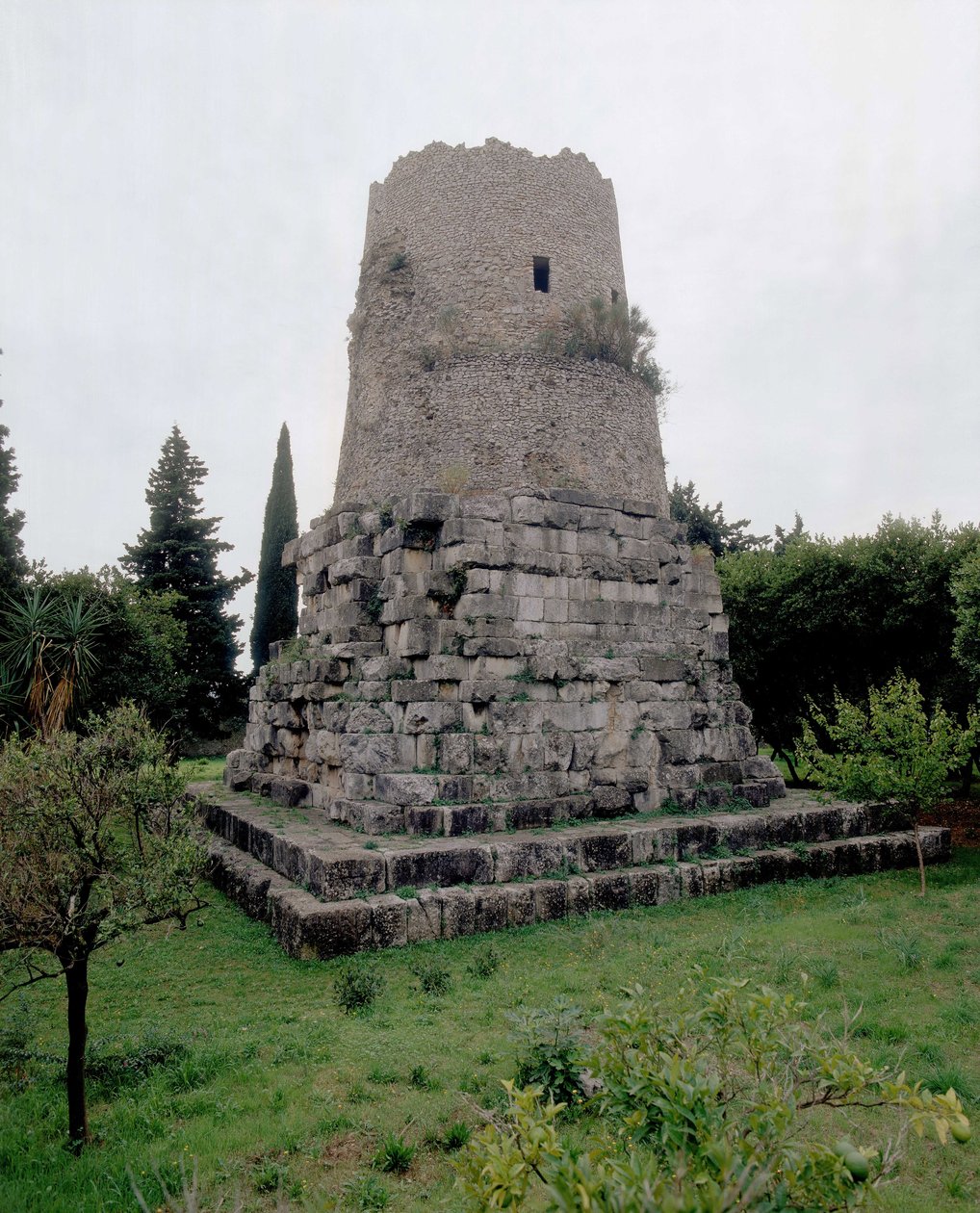 Cicero