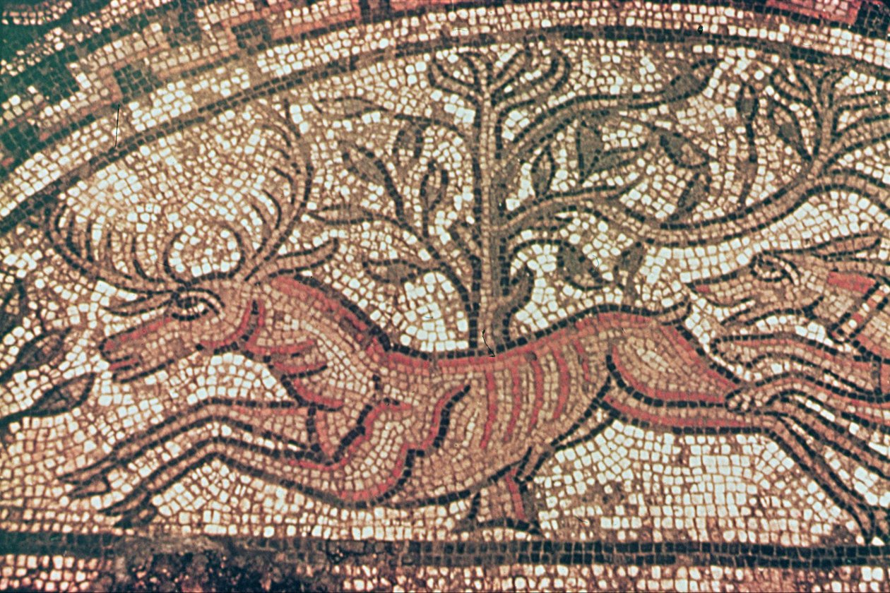 Hinton St. Mary kaldırımı (detay) MS 350 civarı (mozaik) by Roman