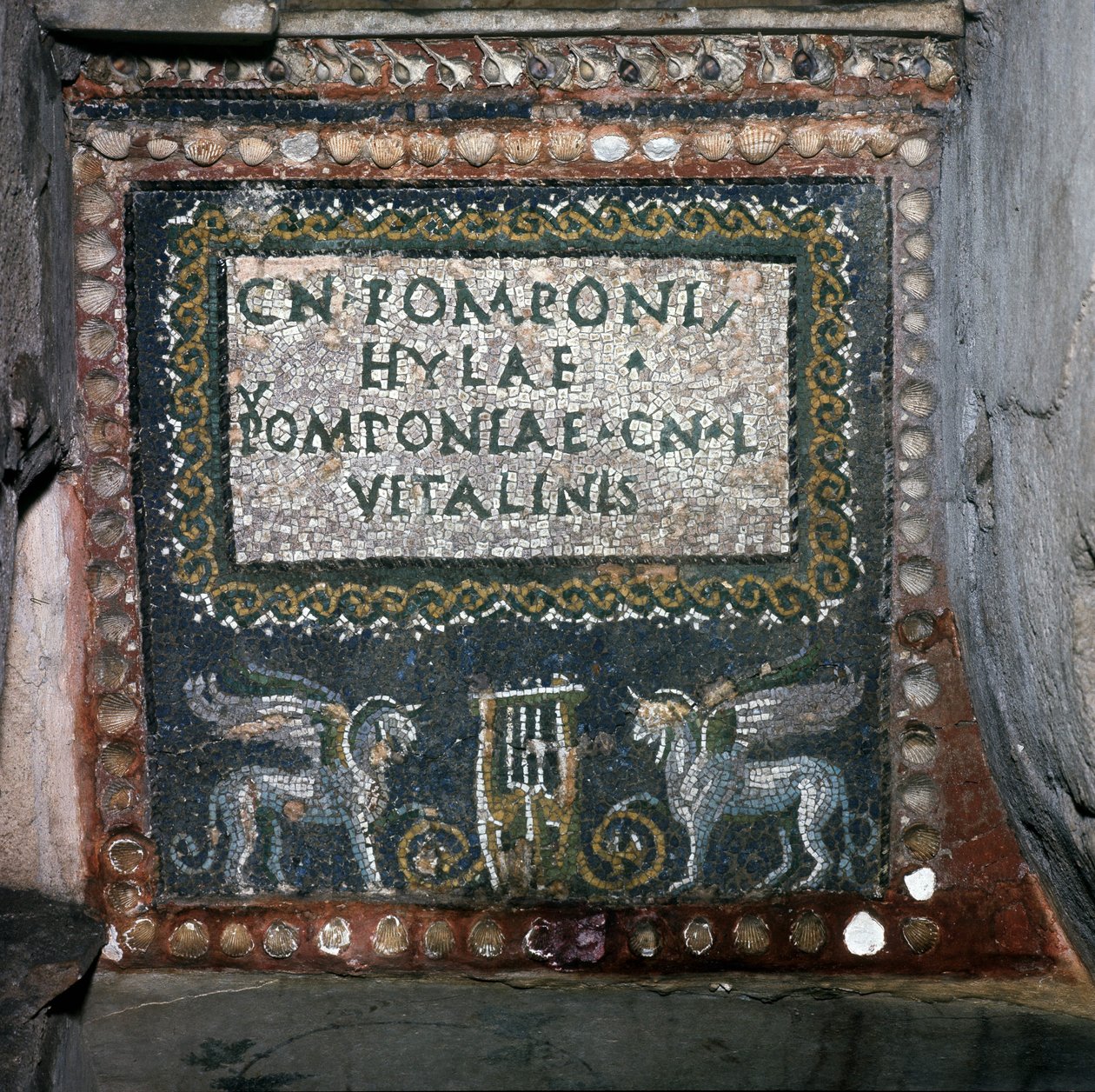 Pomponio Hylax