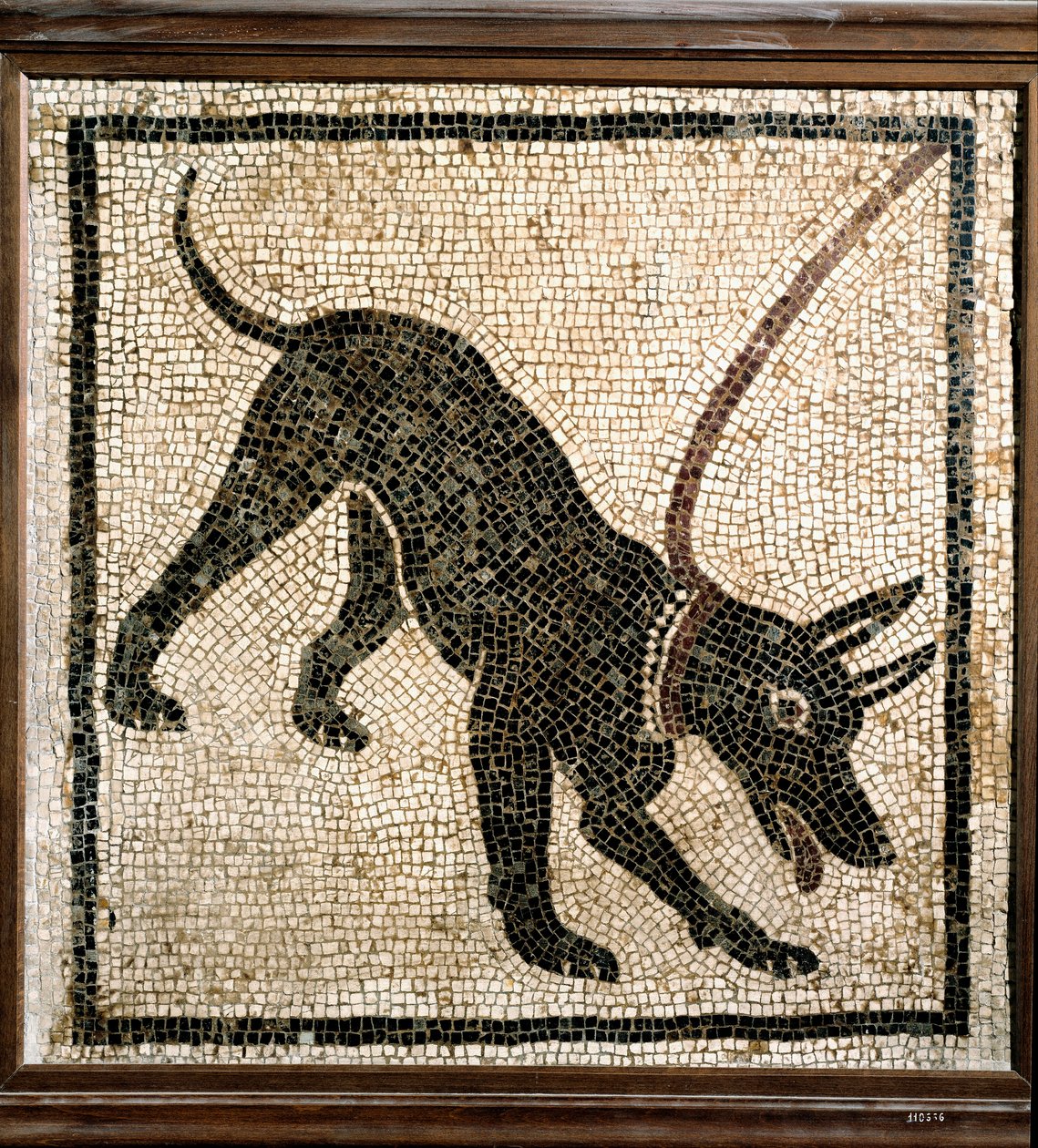 Roma sanatı: "köpeğe dikkat edin" by Roman