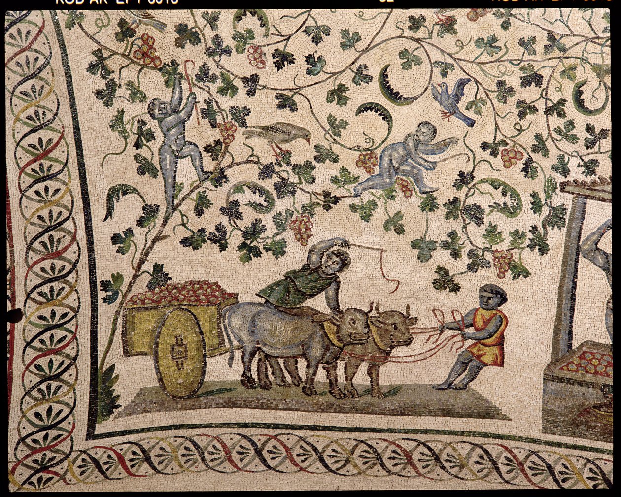 Üzüm Hasadı (mozaik) by Roman