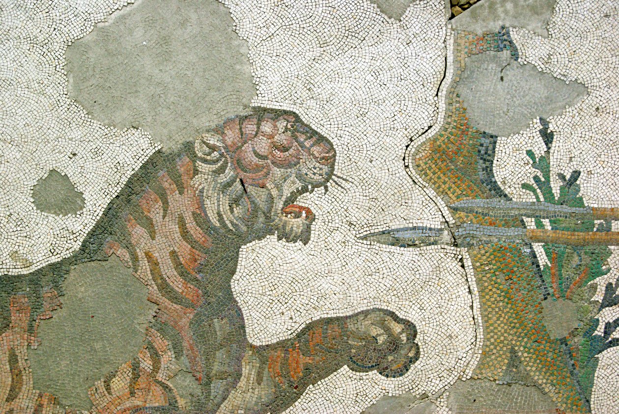 Bilinmeyen resim by Roman
